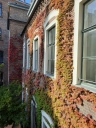 Aussenfassade und Fensterfront eines Ziegelbaus
