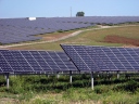 PV-Anlage im Grünland