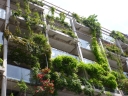 gruene Fassade cDOW 128